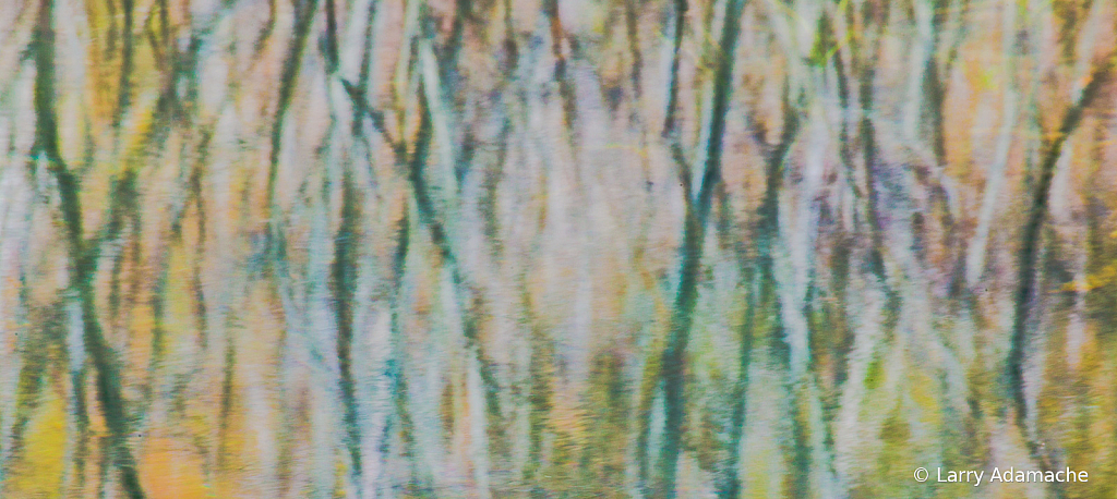 Reflection 908V8281