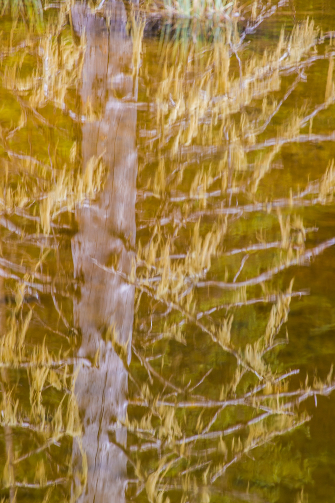 Reflection, _DS30430