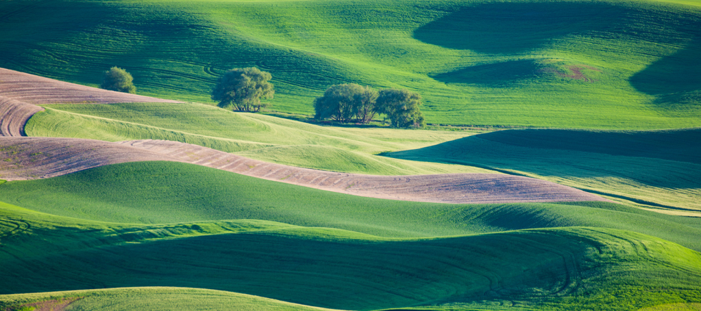 Palouse, _DS30798