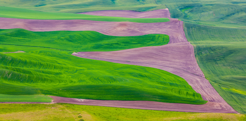 Palouse, _DS30542