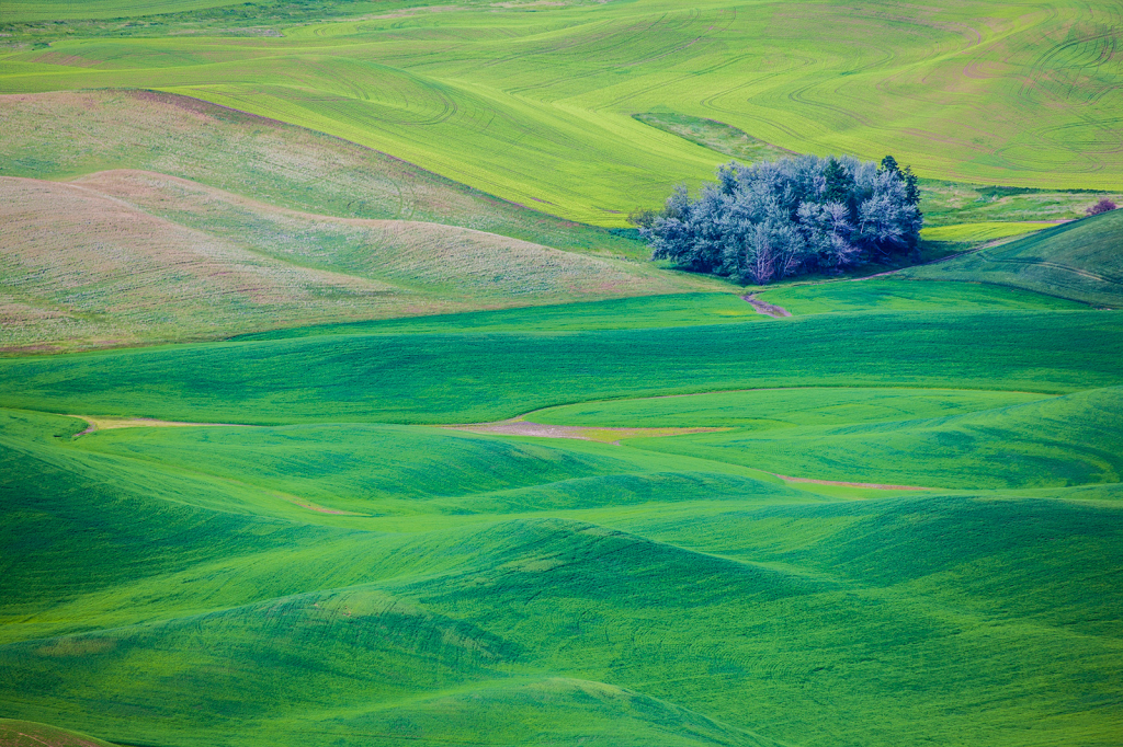 Palouse, _DS30585