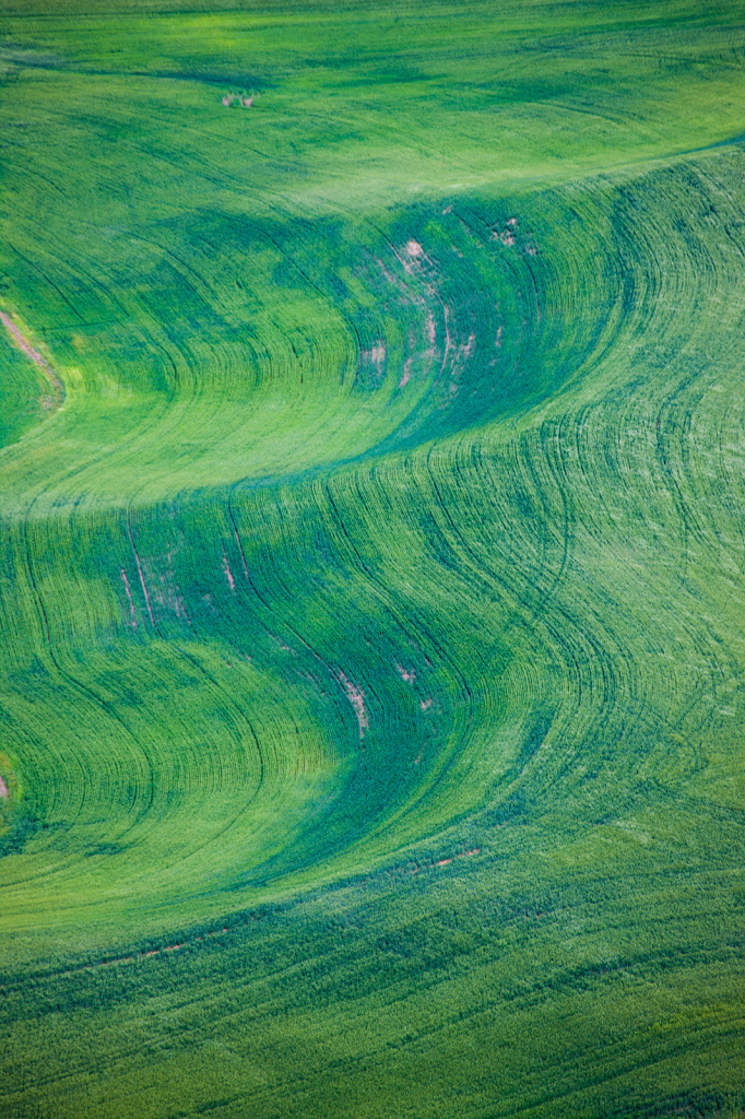 Palouse, _DS30609