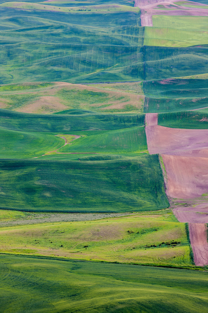 Palouse, _DS30611