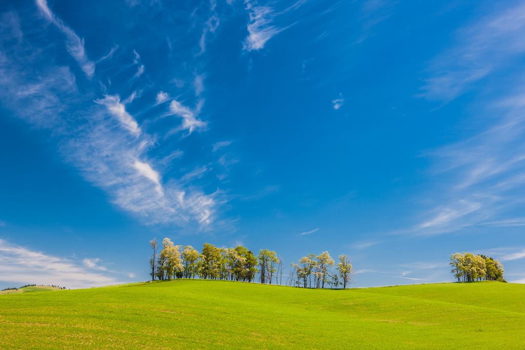 Palouse, _DS30669