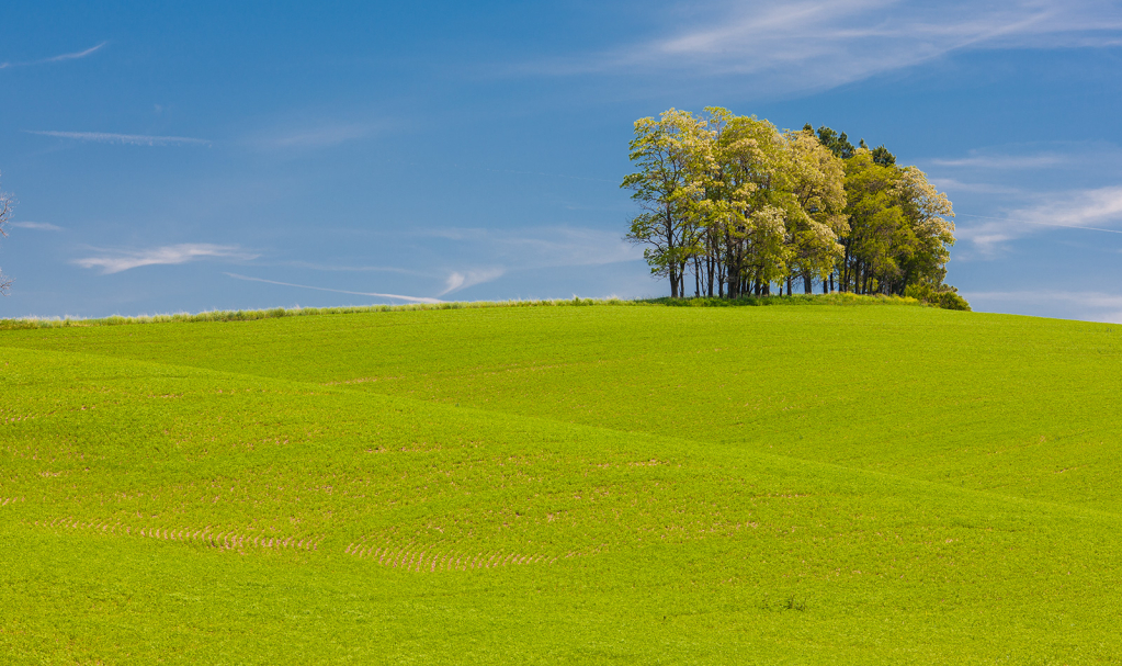 Palouse, _DS30671