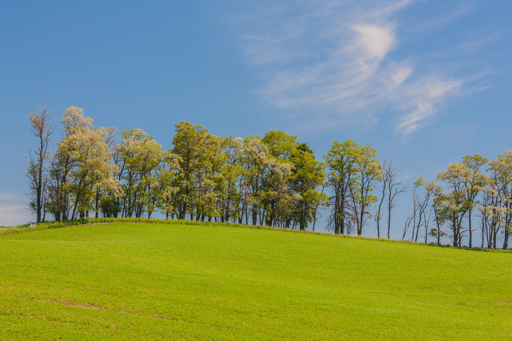 Palouse, _DS30674