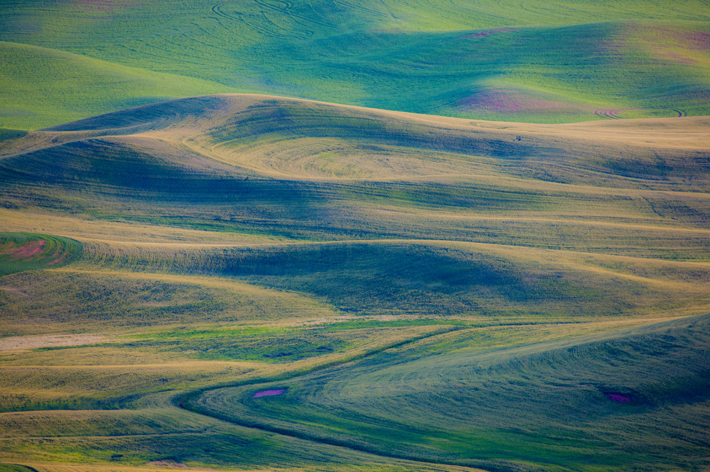 Palouse, _DS31017