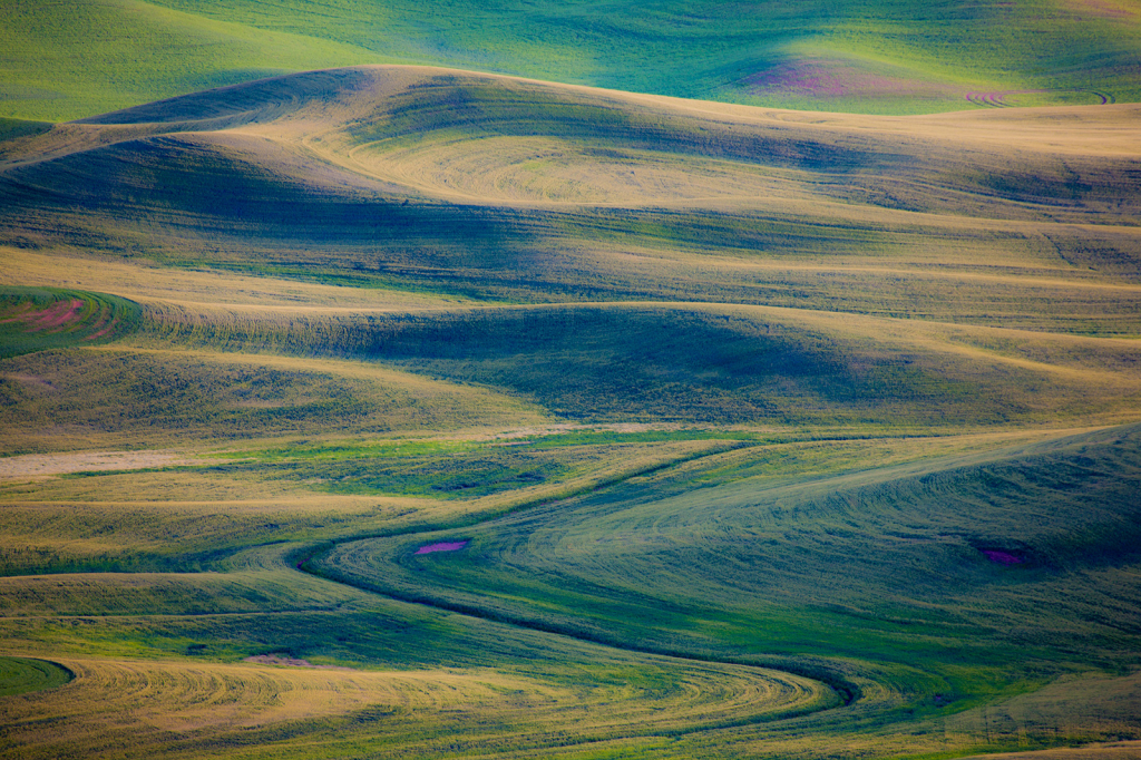 Palouse, _DS31020