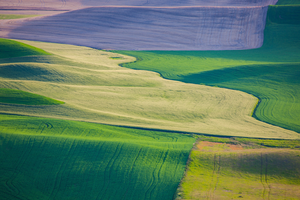 Palouse, _DS31021