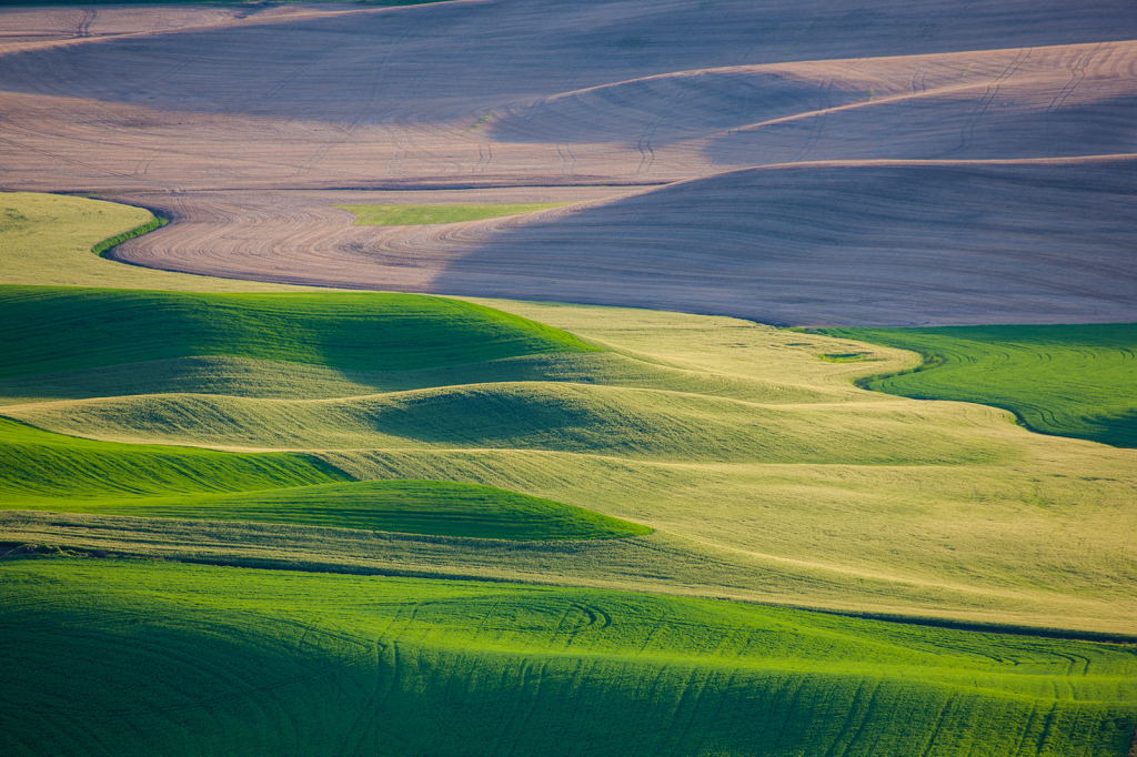 Palouse, _DS31025