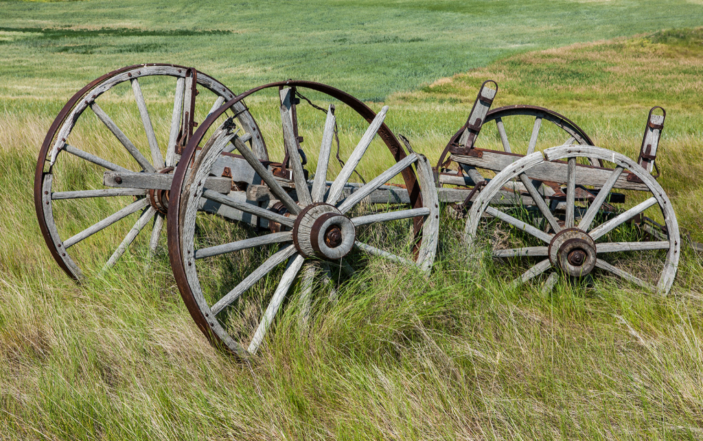 Wagon, _DS31956