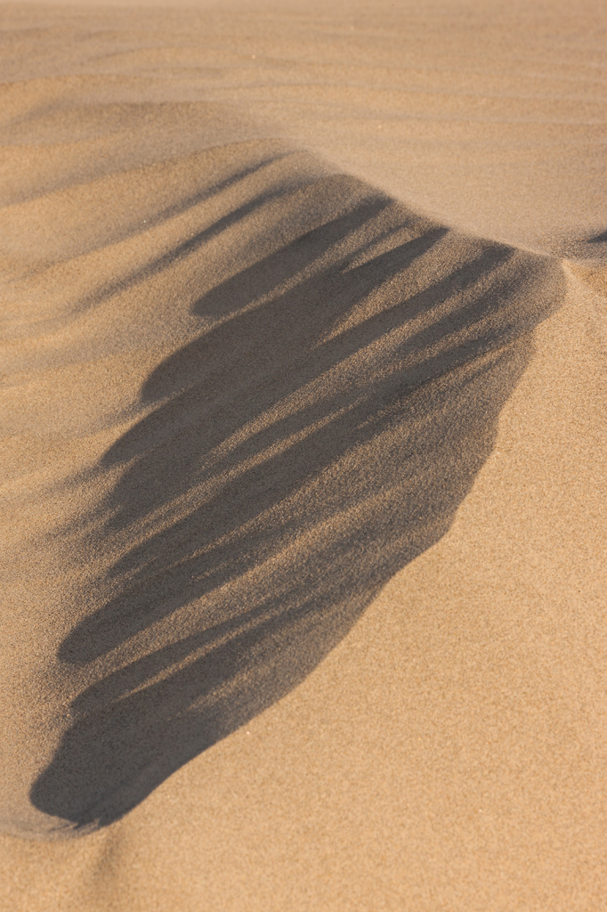 Death Valley, _DS33440