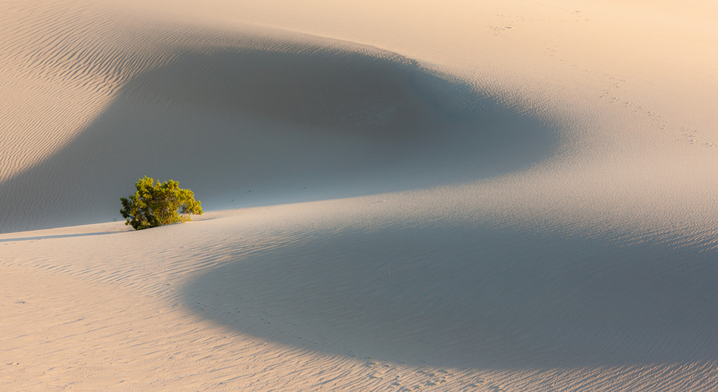 Death Valley, _DS33209