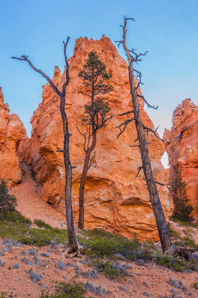 Bryce Canyon, _DS35126