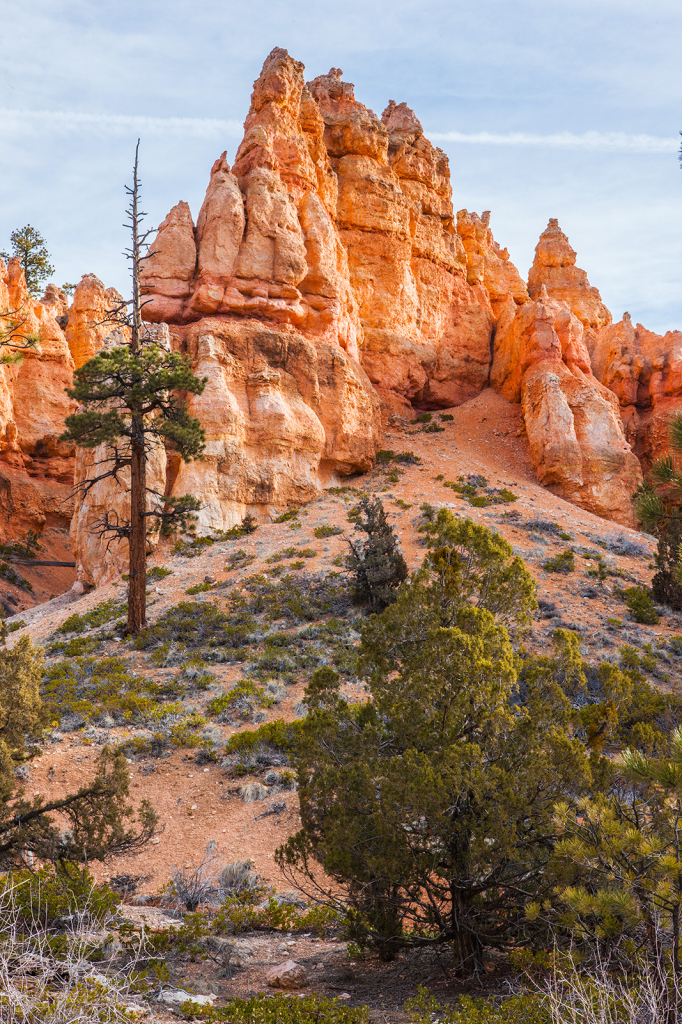 Bryce Canyon, _DS35155
