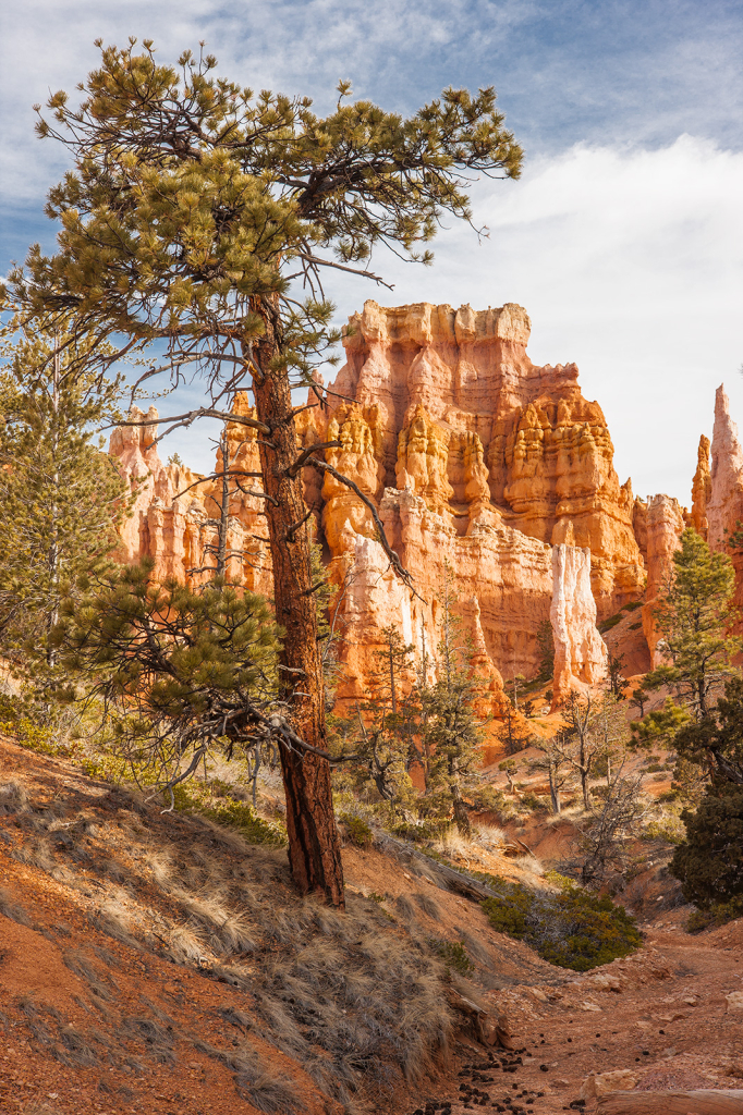 Bryce Canyon, _DS35163
