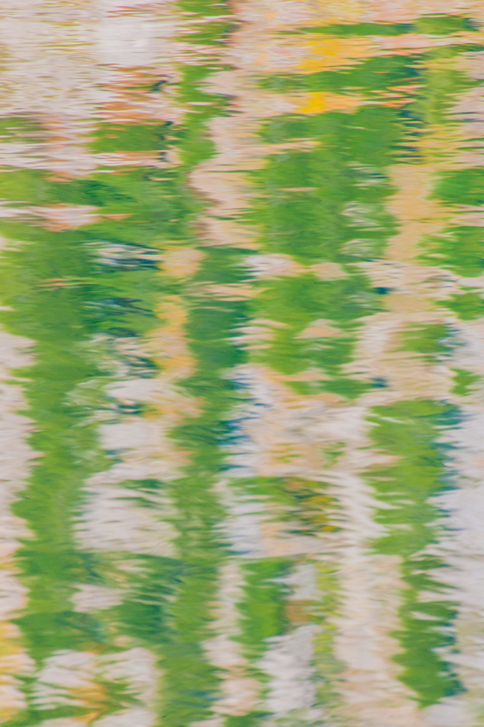 Reflection, _DS35715