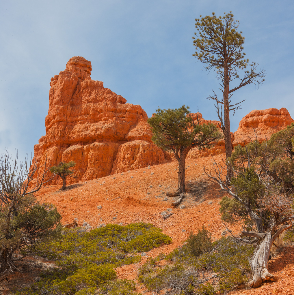 Red Rock Canyon, Utah, _DS35246