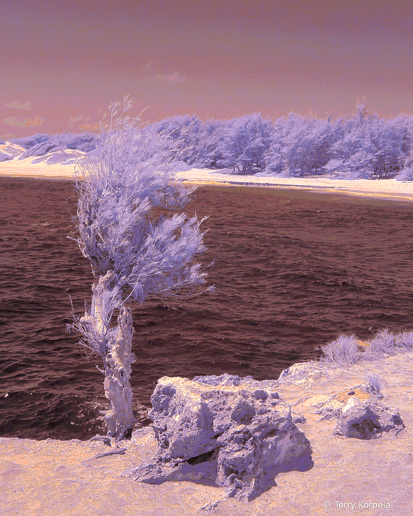 Beach in Kauai (Infrared)