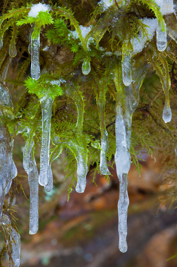 Frozen Drops, _DS30180