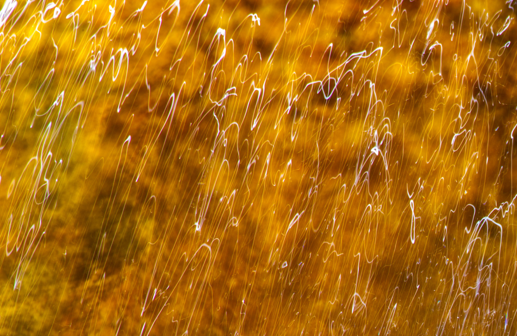 Running Water, _DS37817