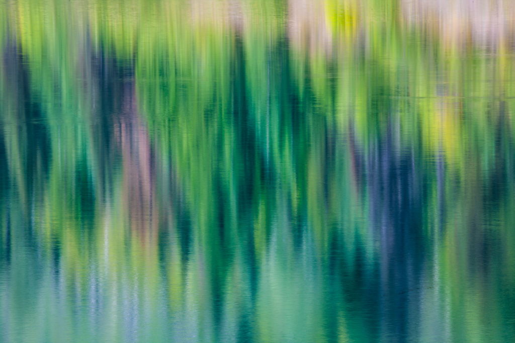 Reflection, _DS37930