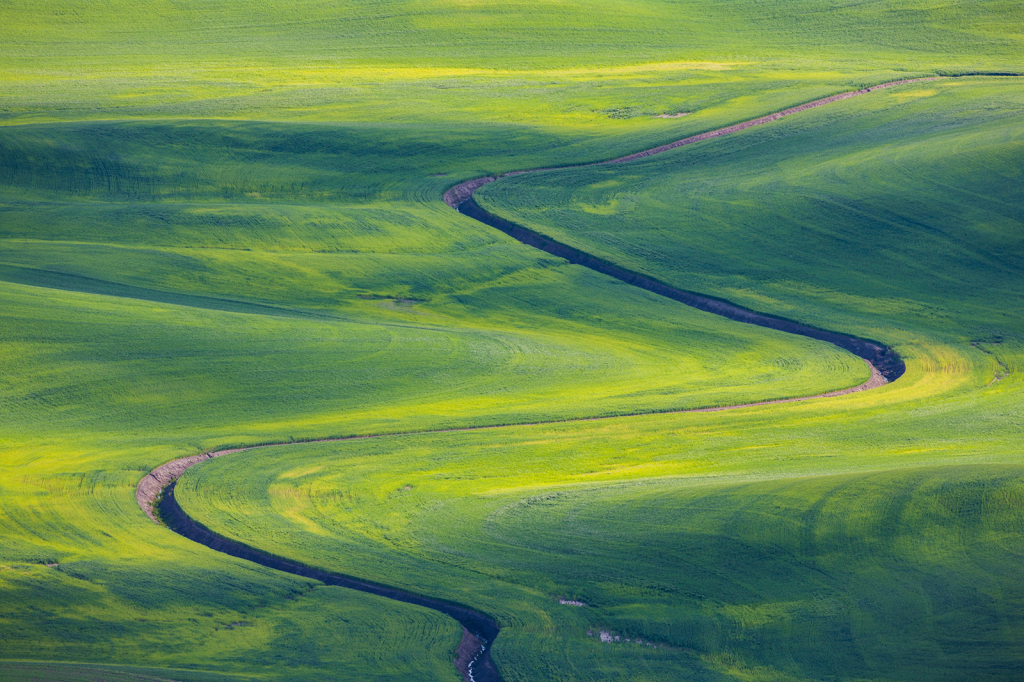 Palouse, _DS32937