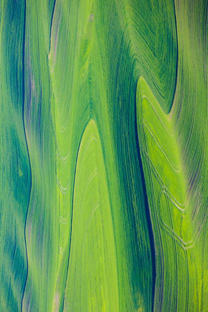 Abstract Design, _DS32956