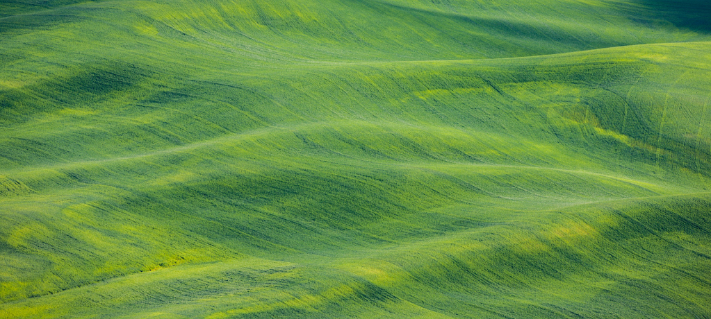 Palouse, _DS32959