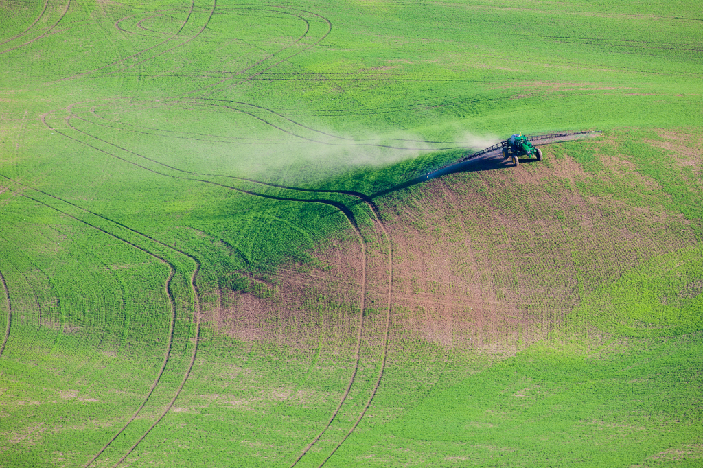 Palouse, _DS32982