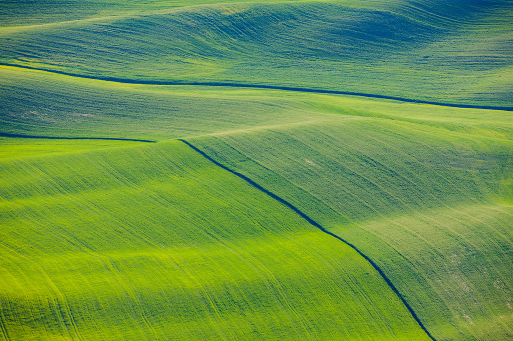 Palouse, _DS33000
