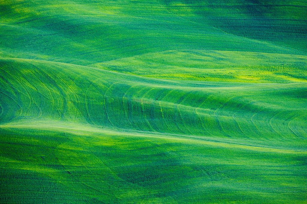 Palouse, _DS33005