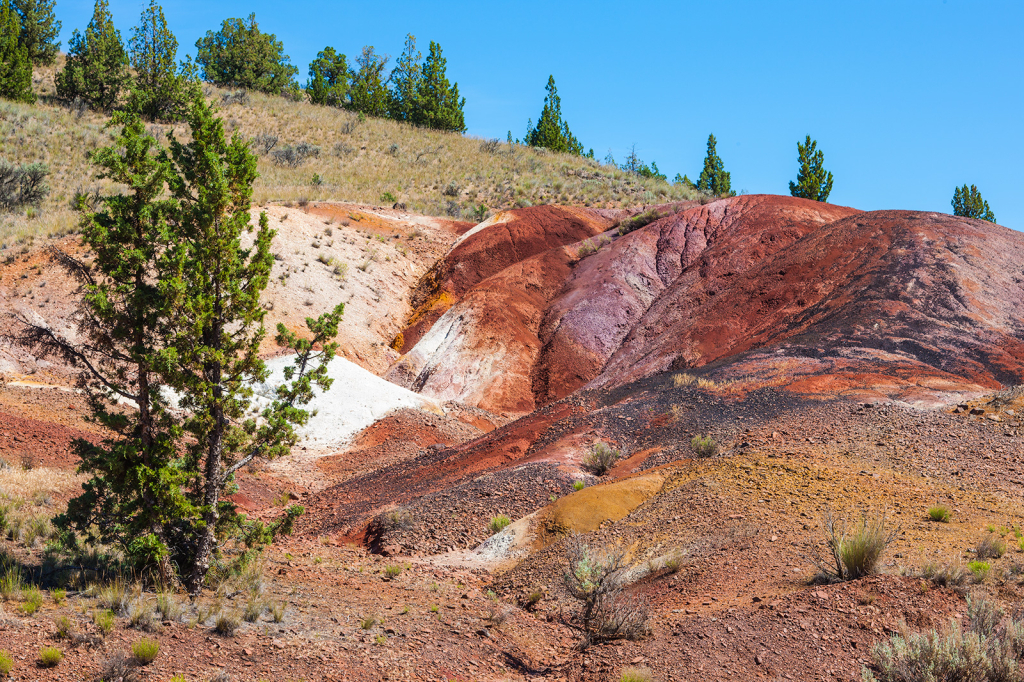 Colored Earth, _DS33043