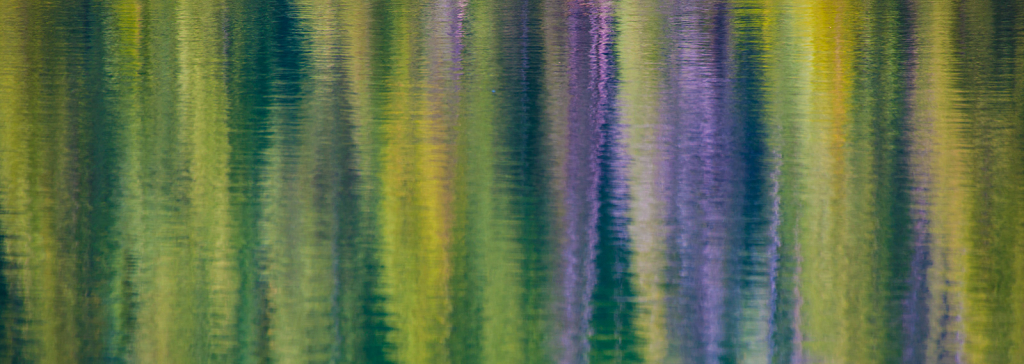 Reflection, _DS34578