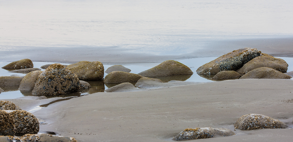 Intertidal Rocks, _DS34554