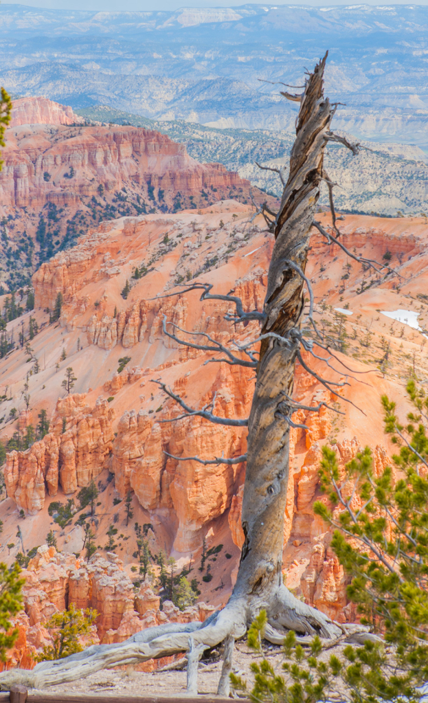 Bryce, _DS34847