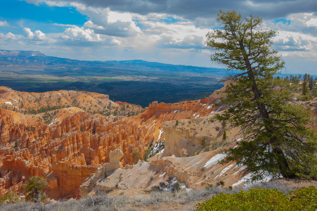 Bryce, _DS34861