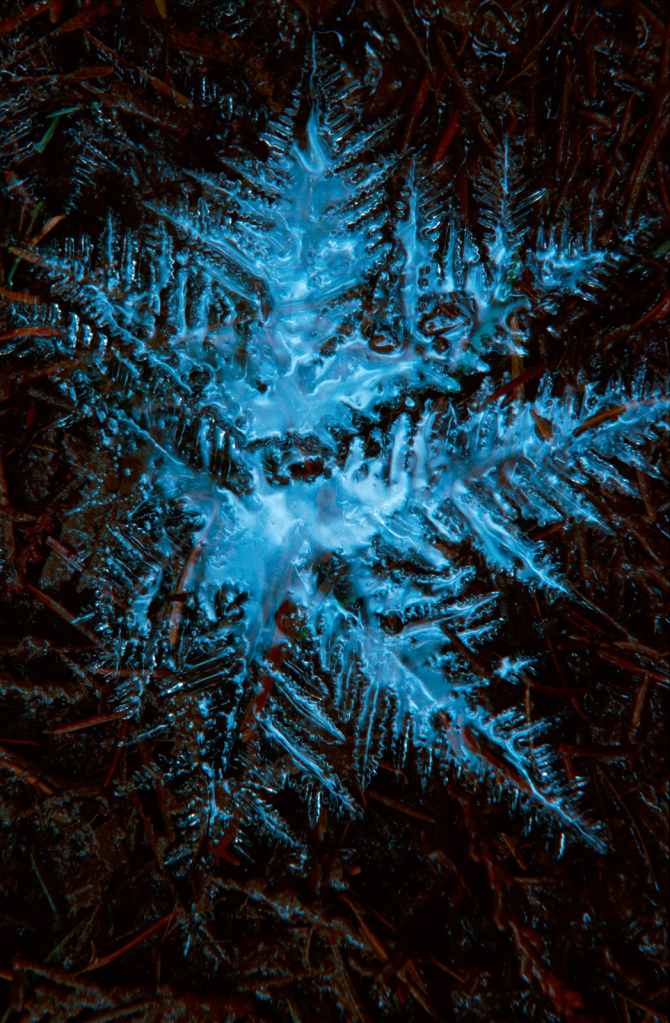 Ice Crystal, 2117