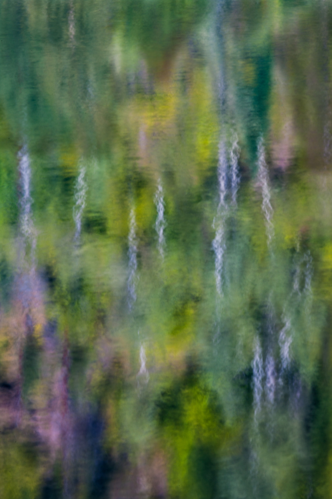 Reflection,  DS37935