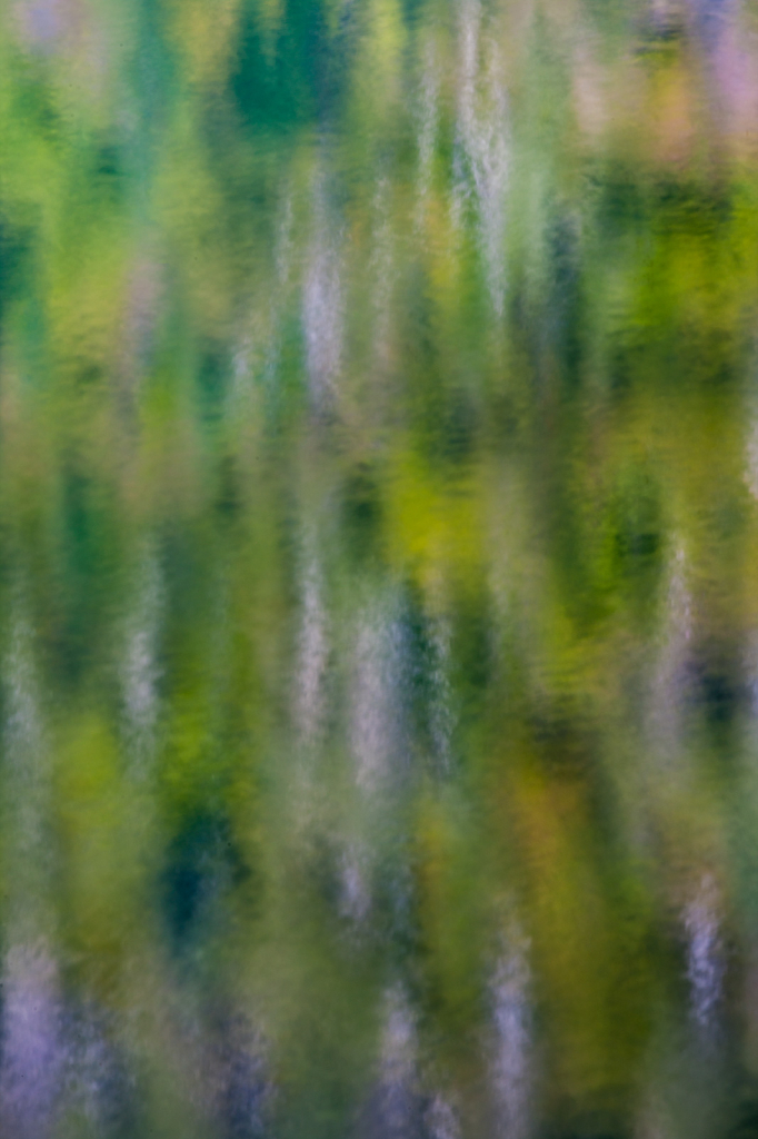 Reflection, DS37937