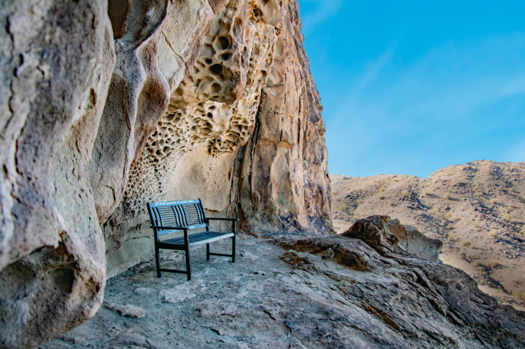 Bench with a View