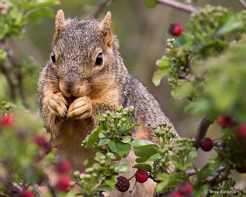 Grabbing a Bite