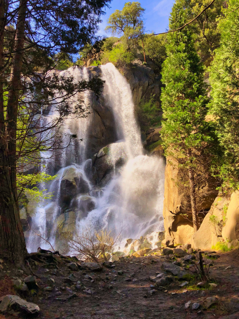 Sequoia Waterfall