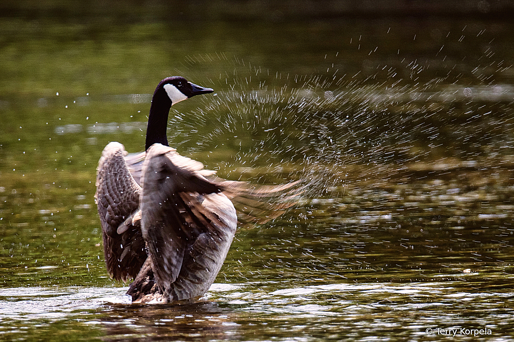 Bath Time!