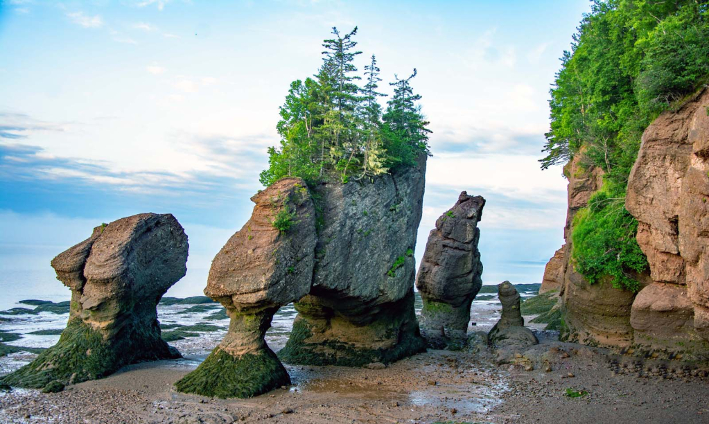 Flower Pots, New Brunswick