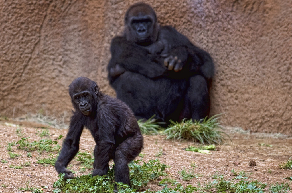 Little Guy and Mom