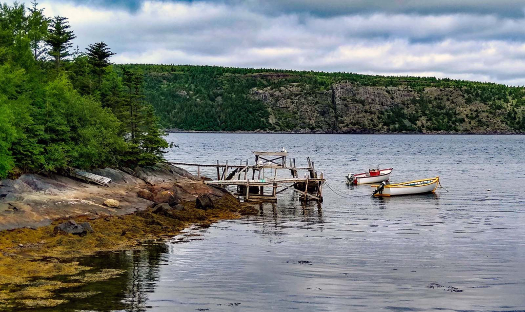 Small Inlet - Conception Bay South