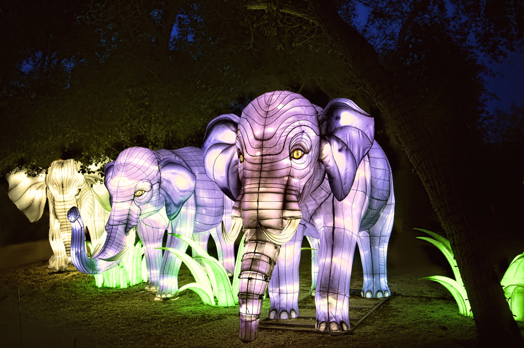 Glowing Elephants on Parade