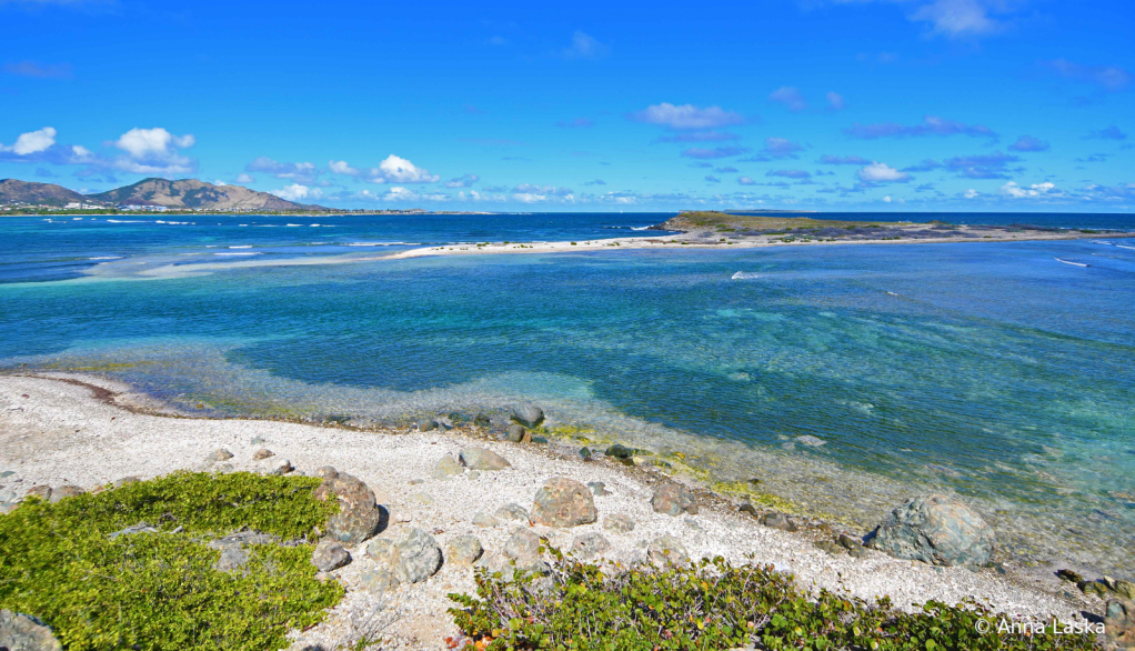 Caribbean shades of blue 2