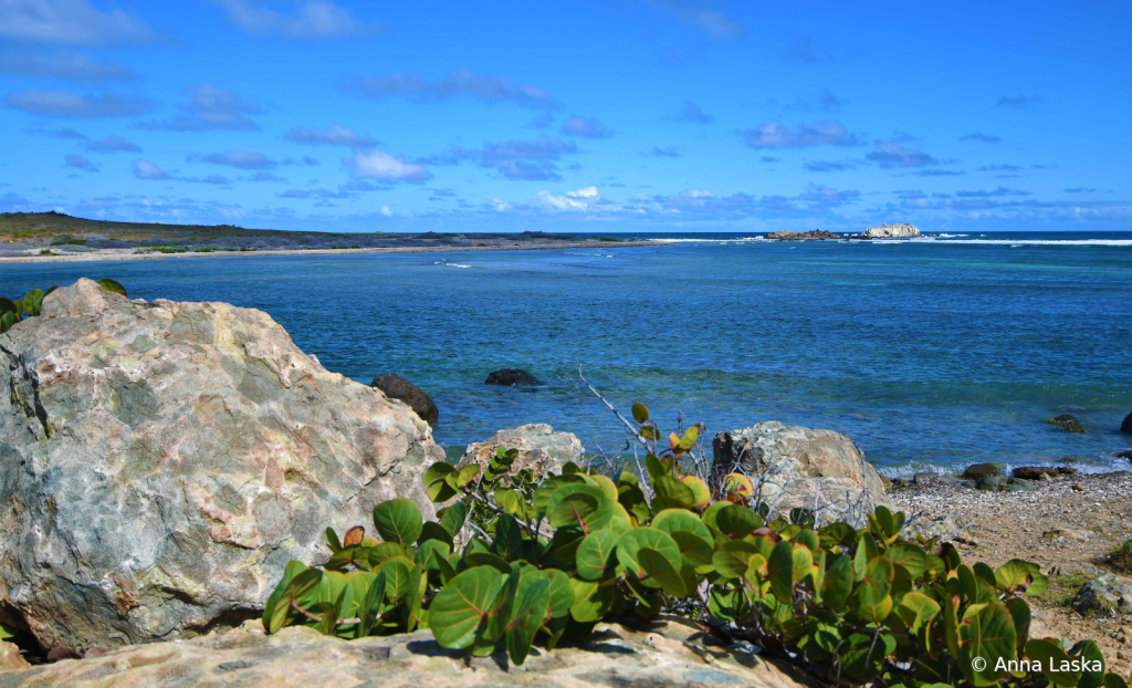 Caribbean shades of blue 4